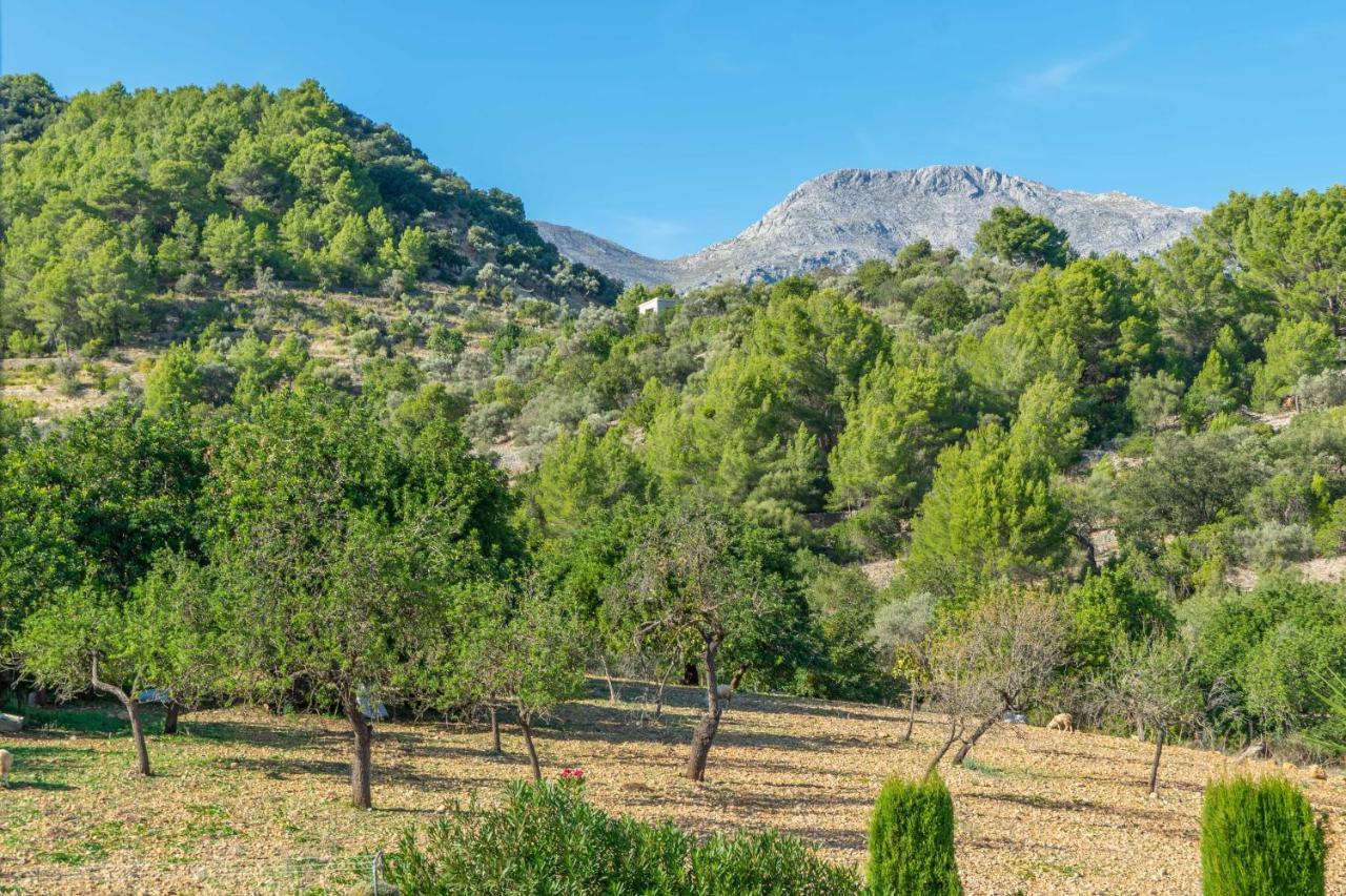 Sa Tanca De Sa Nina Villa Mancor del Valle Buitenkant foto